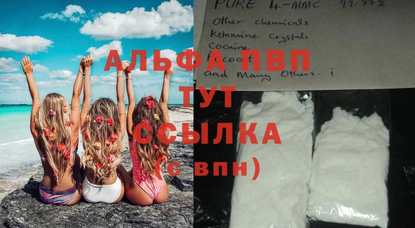 стаф Белоозёрский
