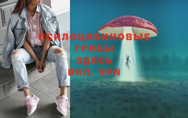 стаф Белоозёрский