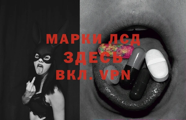 стаф Белоозёрский